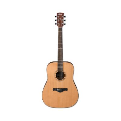 Ibanez AW65LG  - Acoustic Guitar