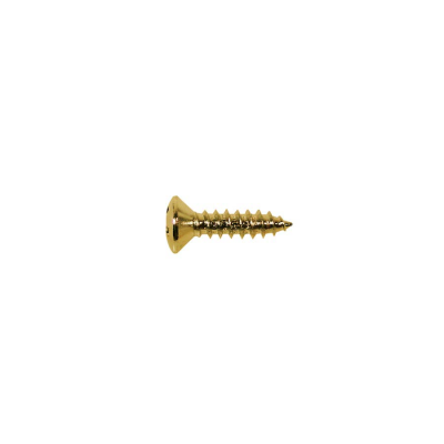 Boston TS-01-G screw, 3x12mm, 12pcs, oval countersunk, tapping, for pickguard, gold