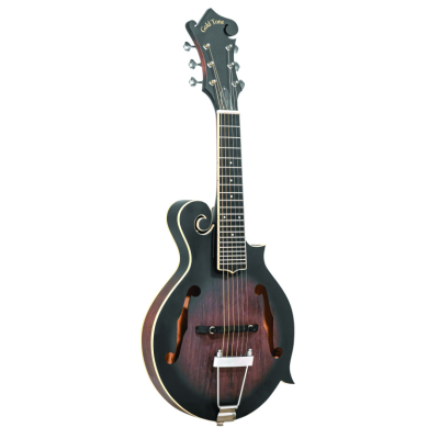 Gold tone F-6 Guitare mandoline à 6 cordes avec corps de mandoline de type F, micro et étui