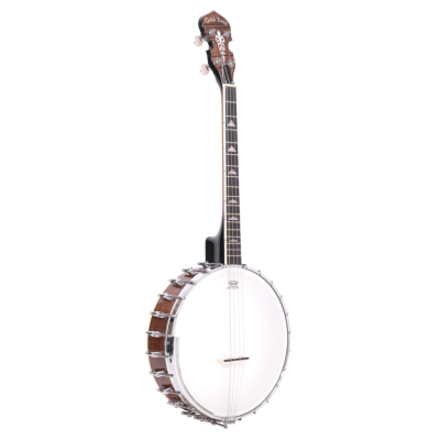 Gold tone IT-250 Irish tenor banjo and hardshell case