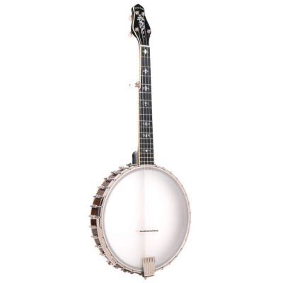 Gold tone CEB-5 5-string cello banjo with case