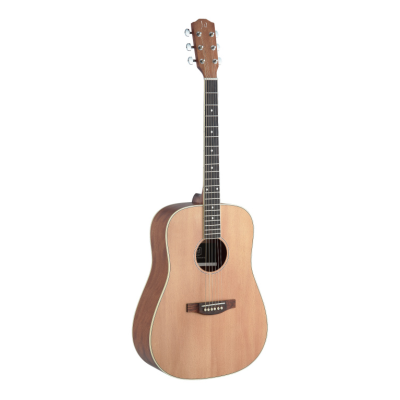 J.N. Guitars ASY-D Asyla series 4/4 dreadnought acoustic guitar with solid spruce top