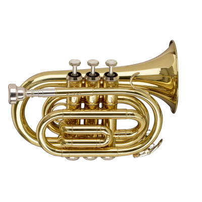 Stagg WS-TR245S Bb Pocket Trumpet, ML-bore, Brass body material