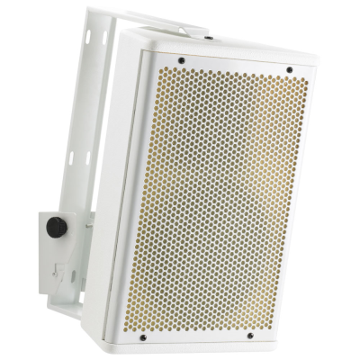 Audiophony S10w 250W RMS passive speaker 10" - White