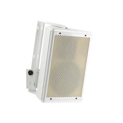 Audiophony S6w 100W RMS passive speaker 6.5" - White