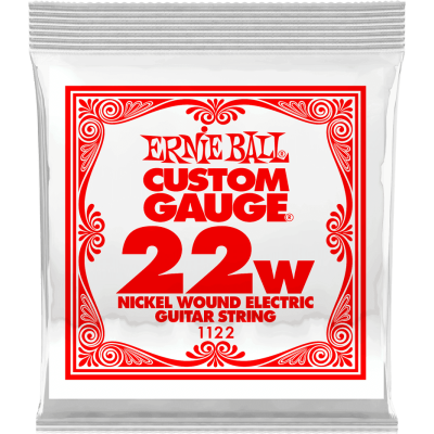Ernie Ball 1122 Slinky Nickel Wound 22