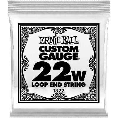 Ernie Ball 1322 Stainless Steel 22