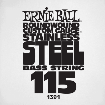 Ernie Ball 1391 Slinky Stainless Steel 115