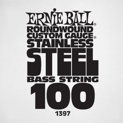 Ernie Ball 1397 Slinky Stainless Steel 100