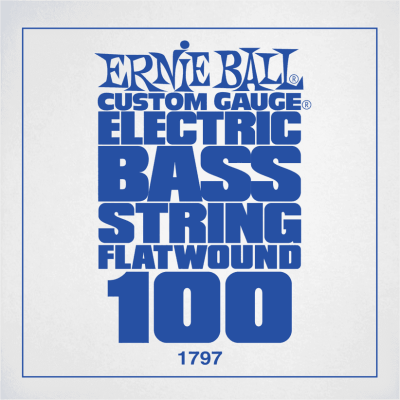 Ernie Ball 1797 Slinky Flatwound 100