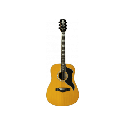 Eko RANGERVR6-EQ-NAT Ranger Vintage Reissue Ranger Vr Vi Acoustic Guitar