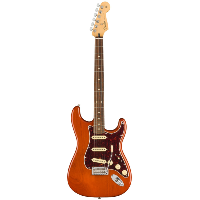 Fender Player Stratocaster, PF, Aged Natural