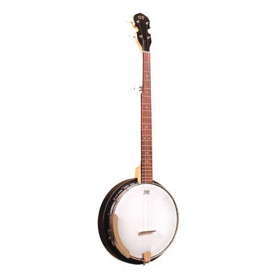 Gold tone AC-5 Vijfsnarige bluegrass-banjo met hoes