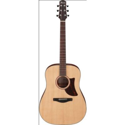 Ibanez AAD-100-OPN - Acoustic Guitar