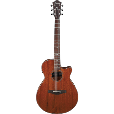 Ibanez AEG220 Natural Low Gloss Electro-Acoustic Guitar