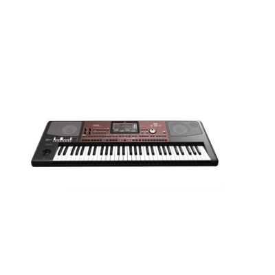 Korg Pa700 ORT Keyboard