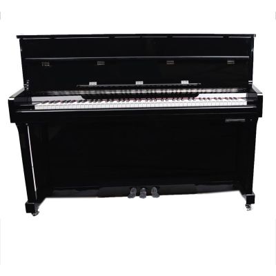 Liedermann Piano a Louer 50 euro/mois