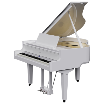 Roland Roland GP-9M-PW - Piano à queue numérique