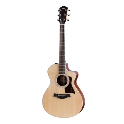 Taylor 212ce elektro-akoestische gitaar