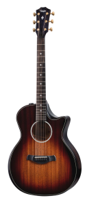 Taylor Builder's Edition 324ce