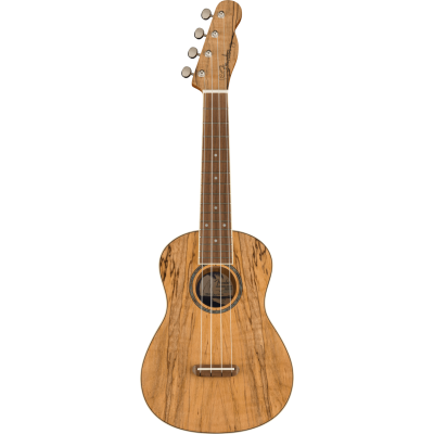 Fender Zuma Exotic Concert Ukulele, Walnut Fingerboard, Spalted Maple