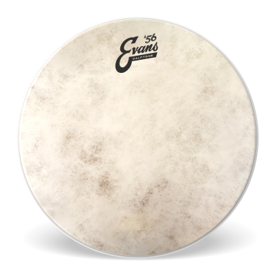 Evans TT14C7 Calftone Tom Batter, 14 Inch