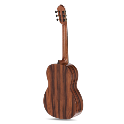 Manuel Rodriguez ACADEMIA Serie Santos Pavo Real Ceder/Santos/gloss
