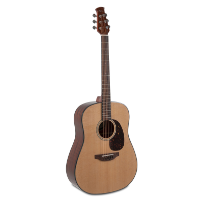 Applause AAD96-4 Akoestische gitaar Wood Classics Natural Gloss Naturel hoogglans