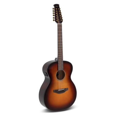 Applause AAJ96-1 Akoestische gitaar Wood Classics Jumbo 12-string sunburst