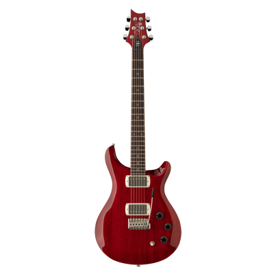 Paul Reed Smith SE DGT STANDARD [MOONS] VC