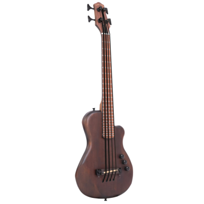 Gold tone ME-BASS 23" Elektrische microbas met mahonie top en hoes