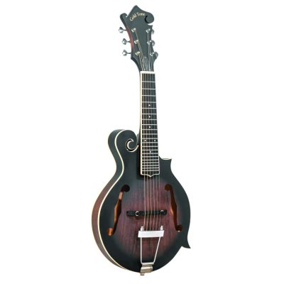 Gold tone F-6 Zessnarige gitaarmandoline, F-stijl klankkast, element, inclusief koffer