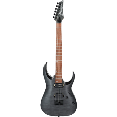 Ibanez RGA42FM Transparent Gray Flat