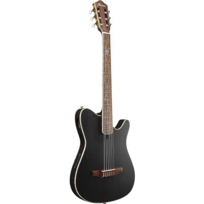 Ibanez TOD10N Transparent Black Flat Electro-Akoestische gitaar