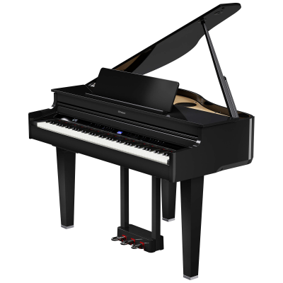 Roland GP-6-PE