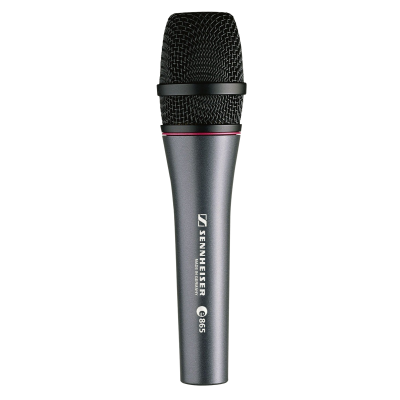 Sennheiser e 865 S