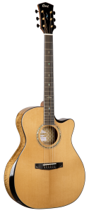 Cort GOLD EDGE LE – Limited Edition