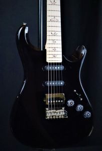 Paul Reed Smith FIORE 27 - Black Iris - Electric Guitar