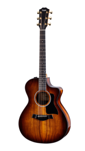 Taylor 222ce-K DLX elektro-akoestische gitaar