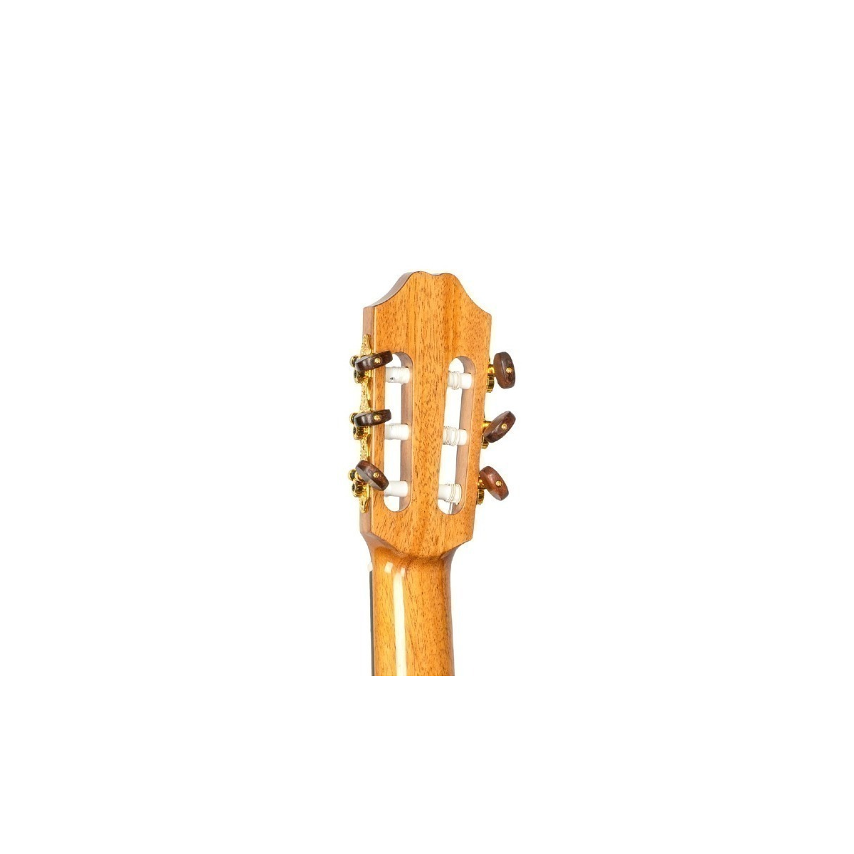Juan Salvador 6AE Klassieke gitaar met Coda case tas
