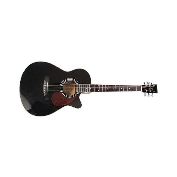 waarheid Beangstigend Vooraf Hudson HF1DX - Acoustic Guitar